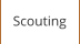 Scouting