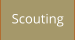 Scouting