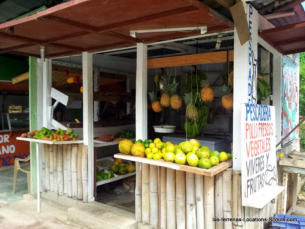 Las Terrenas Fruits Stands