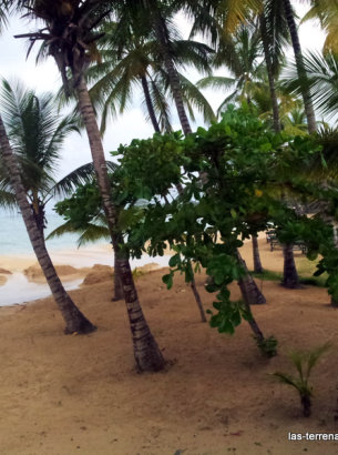 Beaches