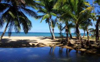 Beaches