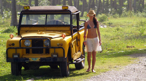 Vehicules Rentals