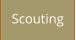 Scouting